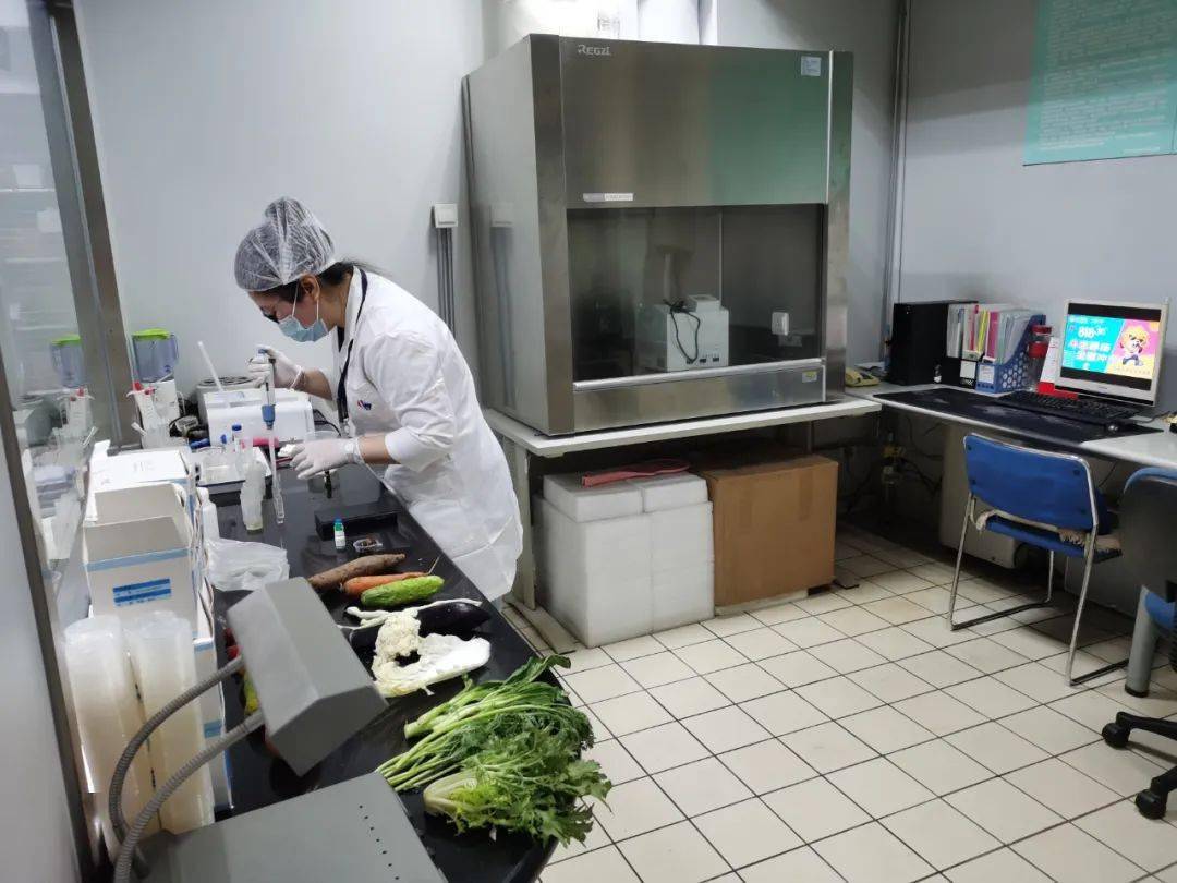 宁陵食品检测实验室装修方案